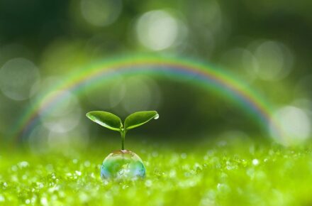 rainbow