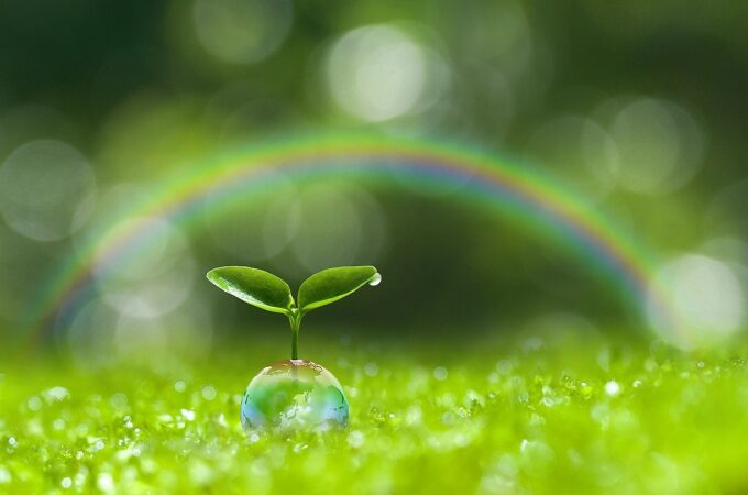 rainbow